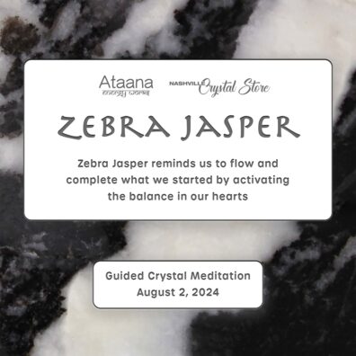 Ataana Method Nashville Crystal Store Zebra Jasper