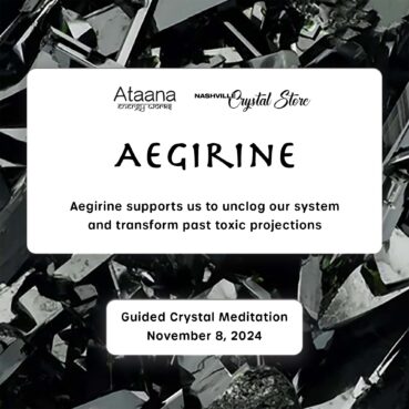 Ataana Method Nashville Crystal Store Aegirine