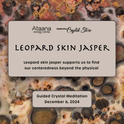 Ataana Method Nashville Crystal Store Leopard Skin Jasper